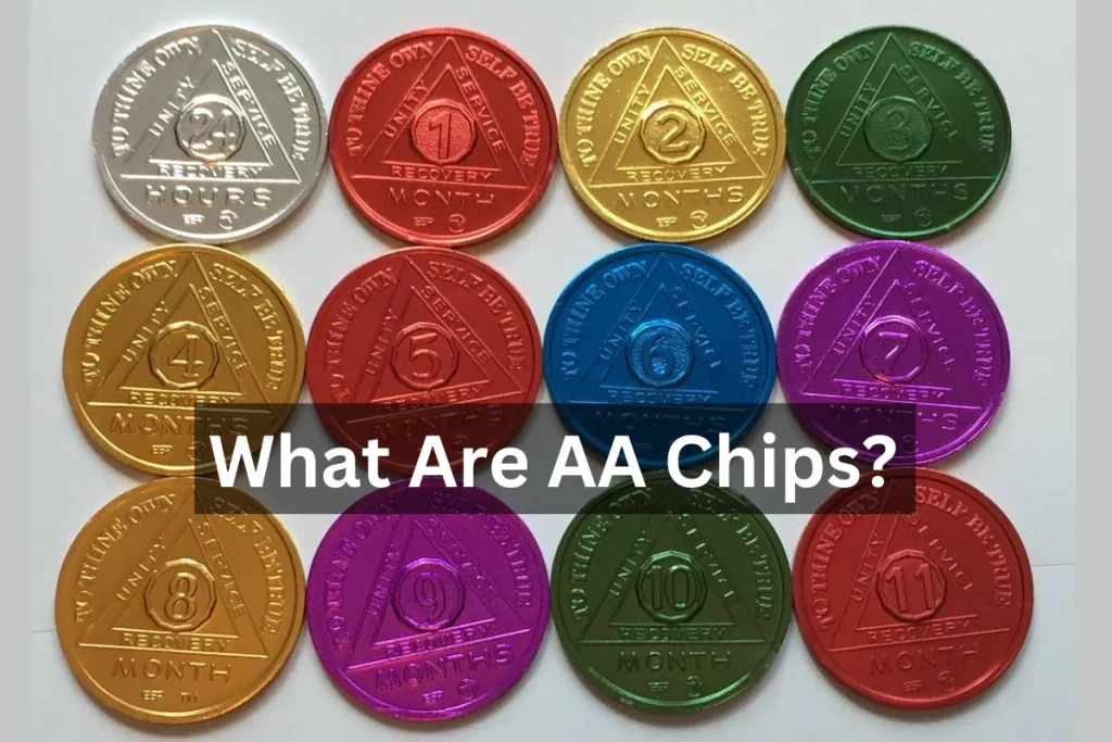 mage showcasing a collection of AA chips ranging from 24 hours to 1 year, with the central text 'What Are AA Chips.
