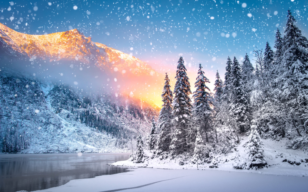 Winter Christmas holiday
